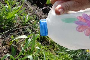 Tận dụng chai nhựa làm bình tưới nước